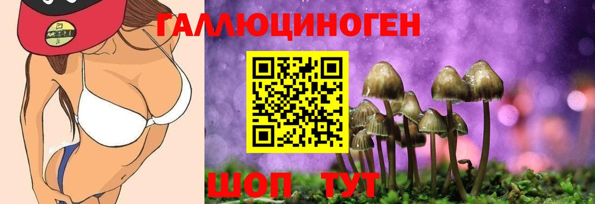 Костомукша  Галлюциногенные грибы MAGIC MUSHROOMS  Вход с VPN 